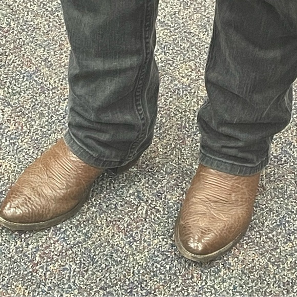 Meet your Posher, Dylan - Picture 1 of 1